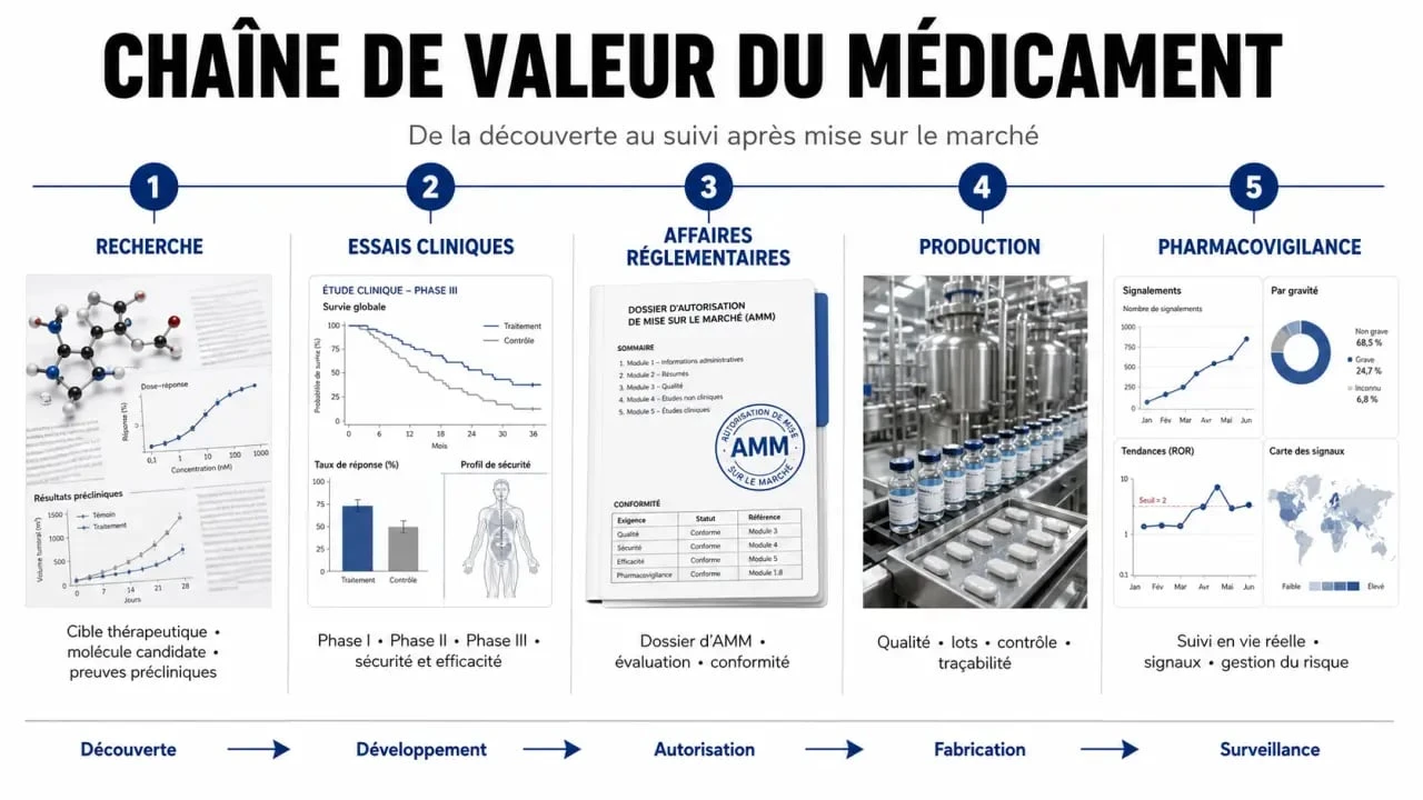 Infographie de la chaîne de valeur de l'industrie pharmaceutique : de la recherche au patient